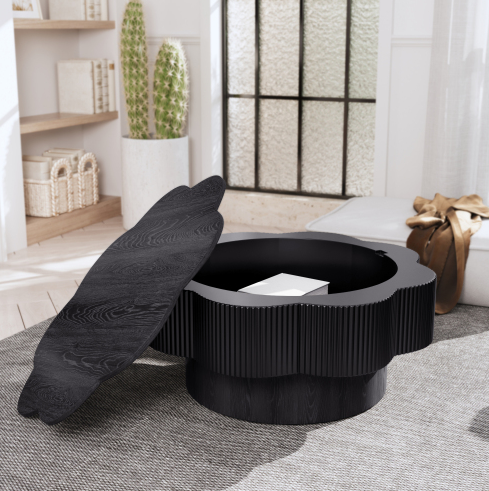 Calder Storage Coffee Table